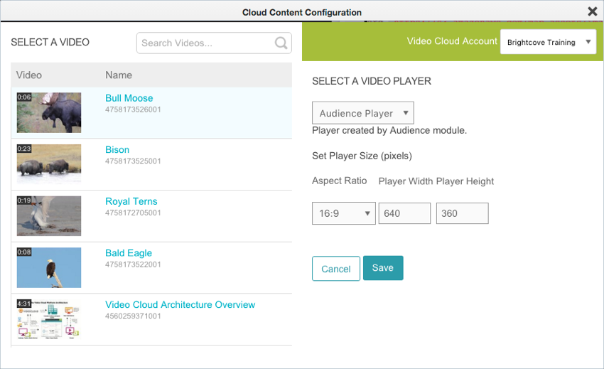 Embedding A Video Cloud Video On An Eloqua Landing Page